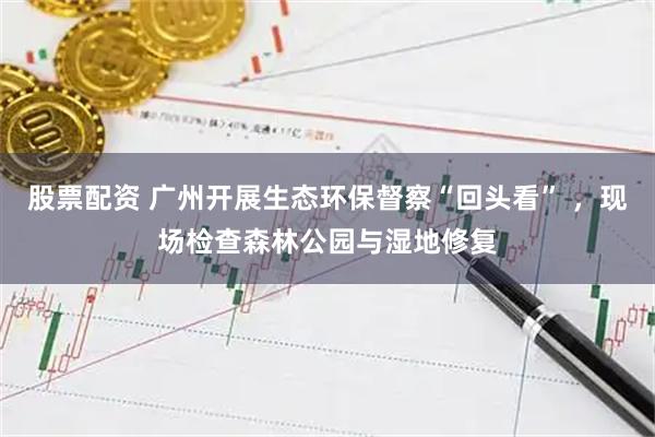 股票配资 广州开展生态环保督察“回头看” ，现场检查森林公园与湿地修复